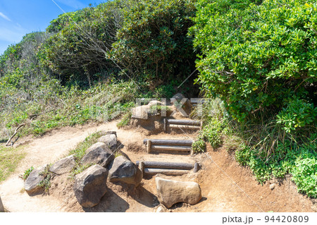 《福岡県》玄海国定公園 糸島トトロの森 糸島市志摩芥屋 《福岡県》玄海国定公園 糸島トトロの森 糸島市志摩芥屋 94420809