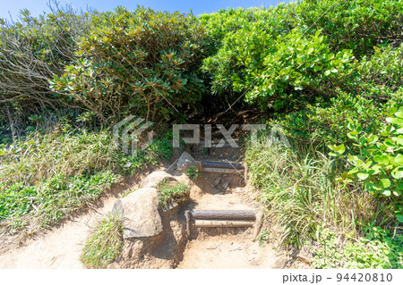 《福岡県》玄海国定公園 糸島トトロの森 糸島市志摩芥屋 《福岡県》玄海国定公園 糸島トトロの森 糸島市志摩芥屋 94420810