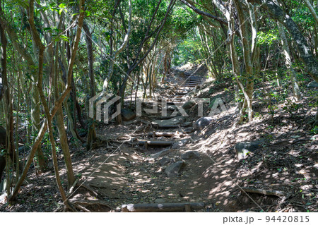 《福岡県》玄海国定公園 糸島トトロの森 糸島市志摩芥屋 《福岡県》玄海国定公園 糸島トトロの森 糸島市志摩芥屋 94420815