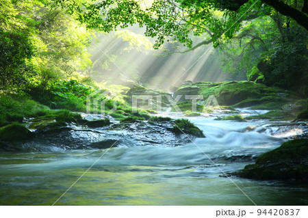 美しい光芒の出る菊池渓谷(菊池市) 美しい光芒の出る菊池渓谷(菊池市) 94420837