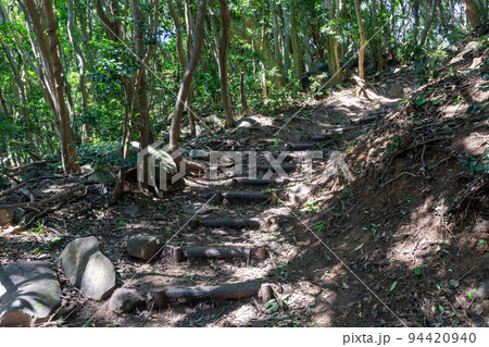 《福岡県》玄海国定公園 糸島トトロの森 糸島市志摩芥屋 《福岡県》玄海国定公園 糸島トトロの森 糸島市志摩芥屋 94420940