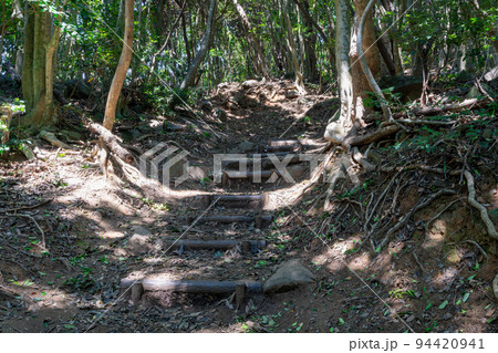 《福岡県》玄海国定公園 糸島トトロの森 糸島市志摩芥屋 94420941