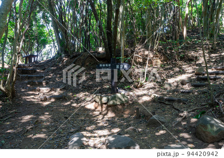 《福岡県》玄海国定公園 糸島トトロの森 糸島市志摩芥屋 《福岡県》玄海国定公園 糸島トトロの森 糸島市志摩芥屋 94420942