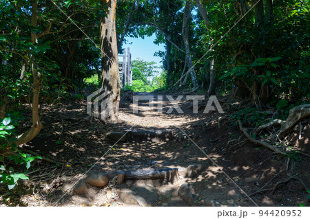 《福岡県》玄海国定公園 糸島トトロの森 糸島市志摩芥屋 《福岡県》玄海国定公園 糸島トトロの森 糸島市志摩芥屋 94420952