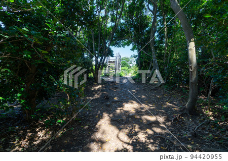 《福岡県》玄海国定公園 糸島トトロの森 糸島市志摩芥屋 94420955