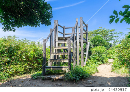 《福岡県》玄海国定公園 糸島トトロの森 糸島市志摩芥屋 《福岡県》玄海国定公園 糸島トトロの森 糸島市志摩芥屋 94420957