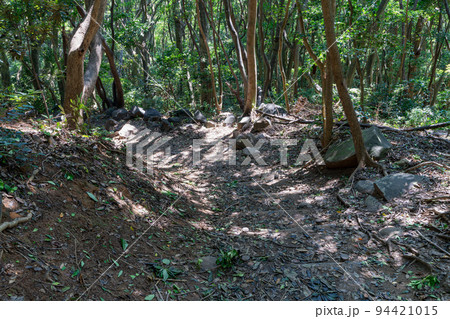 《福岡県》玄海国定公園 糸島トトロの森 糸島市志摩芥屋 《福岡県》玄海国定公園 糸島トトロの森 糸島市志摩芥屋 94421015
