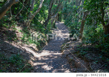 《福岡県》玄海国定公園 糸島トトロの森 糸島市志摩芥屋 94421018
