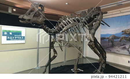 新属新種のカムイサウルス【北海道・むかわ町】 94421211