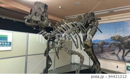 新属新種のカムイサウルス【北海道・むかわ町】 94421212