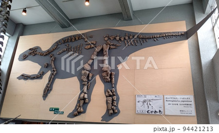 カムイサウルス全身化石【北海道・むかわ町】 カムイサウルス全身化石【北海道・むかわ町】 94421213