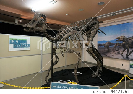 カムイサウルス全身化石【北海道・むかわ町】 94421269
