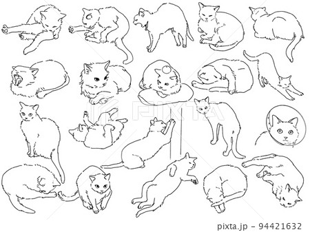 猫の色んな姿勢と表情のイラストセット 94421632