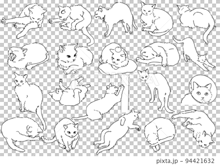 猫の色んな姿勢と表情のイラストセット 94421632