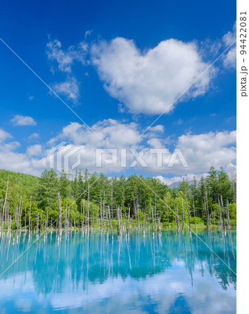 北海道美瑛_青い池とハート型の雲の絶景 94422081