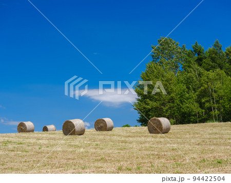 北海道_麦草ロールの転がる美瑛の風景 94422504