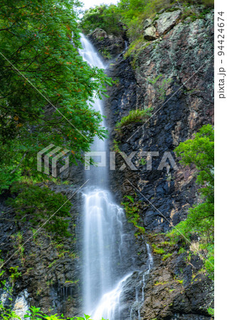 香川県三豊市豊中町 不動の滝カントリーパークの新緑 香川県三豊市豊中町 不動の滝カントリーパークの新緑 94424674