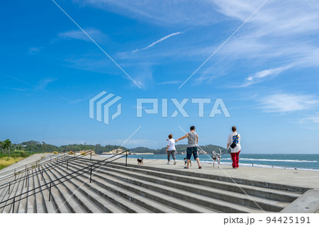 菖蒲田浜海水浴場　防潮堤　散歩　愛犬　お出かけ 94425191
