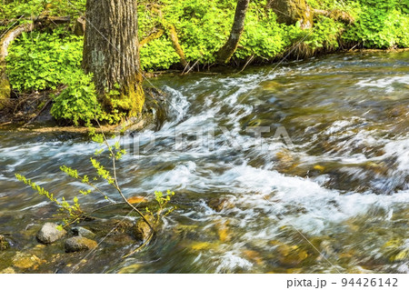 上高地　梓川支流の流れ 94426142
