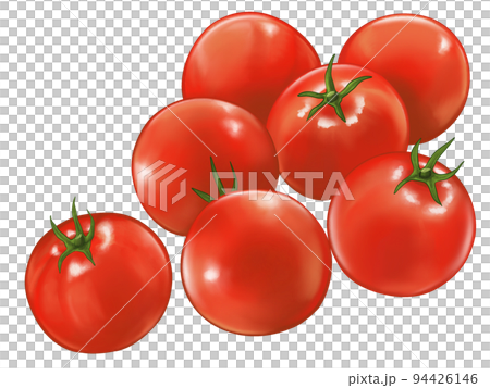 ミニトマトのリアルなテイストの手描きイラスト ミニトマトのリアルなテイストの手描きイラスト 94426146