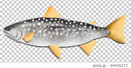 A simple amemasu illustration 94426272