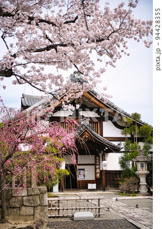 京都 妙顕寺の春 2022年 京都 妙顕寺の春 2022年 94428355