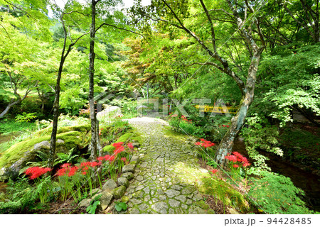 環境芸術の森 佐賀県唐津市厳木町平之667 環境芸術の森 佐賀県唐津市厳木町平之667 94428485
