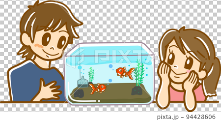 Children observing goldfish Children observing goldfish 94428606
