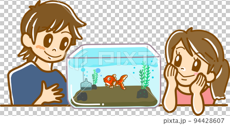 孩子們觀察金魚 孩子們觀察金魚 94428607