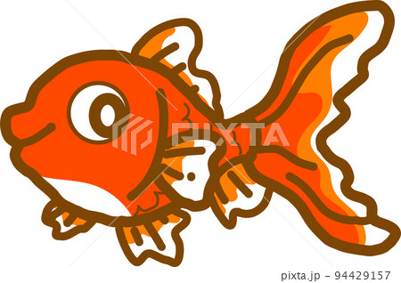 金魚 94429157