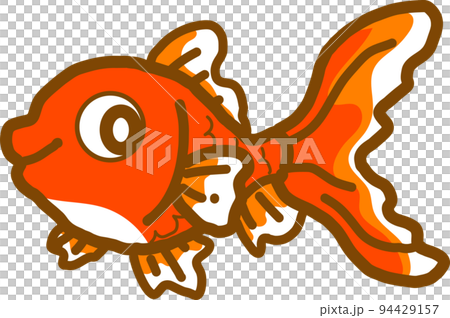 金魚 94429157