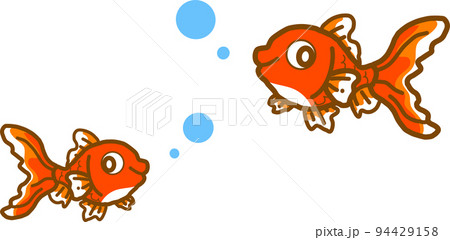 金魚 金魚 94429158