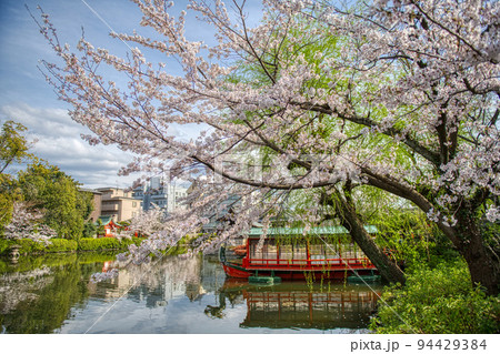京都　神泉苑の春2022 94429384