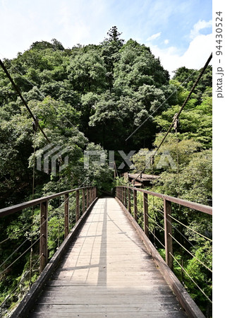 奥多摩鳩ノ巣渓谷　深い緑の山肌と渓谷に架かる釣り橋 94430524