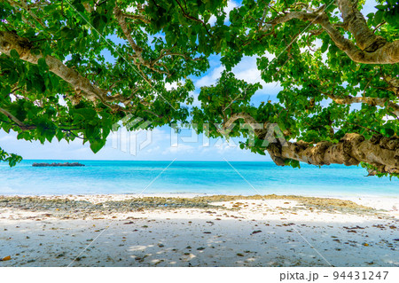 沖縄県竹富島　星砂の浜（カイジ浜）の景色 94431247
