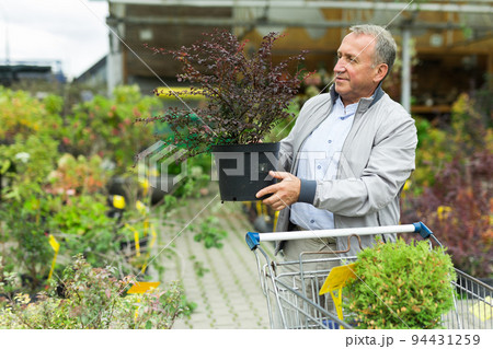Man choosing seedlings in market Man choosing seedlings in market 94431259