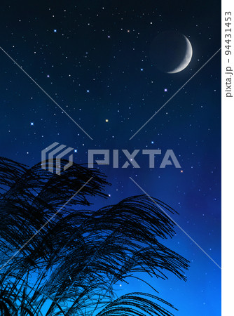 満天に広がる星空と三日月を背景に 揺れるススキのシルエットのイラスト素材