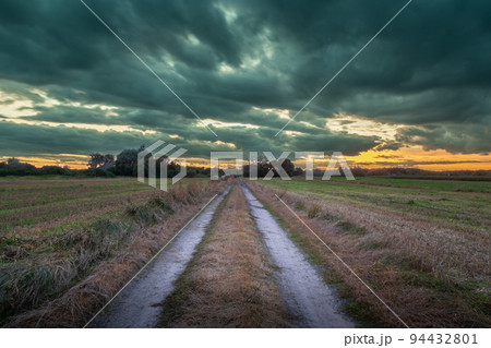 Dirt road through the fields and cloudy sky Dirt road through the fields and cloudy sky 94432801