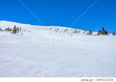Almost Empty Ski Slope and Sparse Spruce Trees Almost Empty Ski Slope and Sparse Spruce Trees 94433239