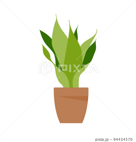 Home plant. Potted plant isolated on white. Flat. Vector illustration. Home plant. Potted plant isolated on white. Flat. Vector illustration. 94434570