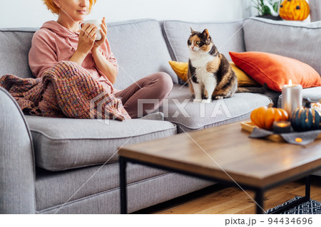 Unrecognizable woman in plaid holding cup of tea or coffee, watching movie, TV with multicolored cat on the sofa at home, decorated for fall holidays. Cozy and comfortable autumn. Selective focus. Unrecognizable woman in plaid holding cup of tea or coffee, watching movie, TV with multicolored cat on the sofa at home, decorated for fall holidays. Cozy and comfortable autumn. Selective focus. 94434696