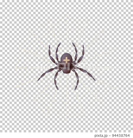 Spider in the web with a cross on its back, top view, cartoon vector illustration Spider in the web with a cross on its back, top view, cartoon vector illustration 94438764