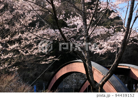 アーチ形の橋と桜 アーチ形の橋と桜 94439152