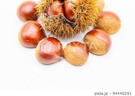 イガグリと栗の実 94440291