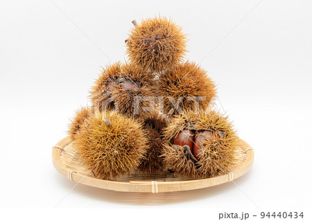 かごに盛られたいがぐり 94440434