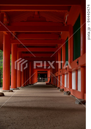 【奈良】奈良公園、鹿や東大寺、ライトアップなど見どころ満載 奈良観光 【奈良】奈良公園、鹿や東大寺、ライトアップなど見どころ満載 奈良観光 94440474