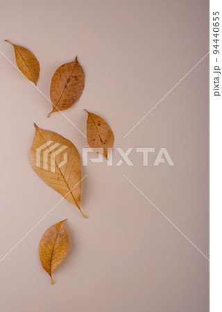 Autumn background with dry leaves. Autumn background with dry leaves. 94440655