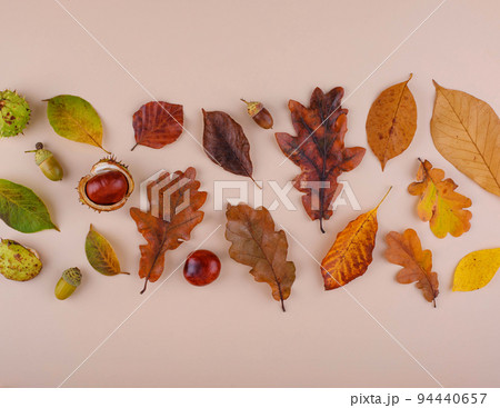 Autumn background with dry leaves. 94440657