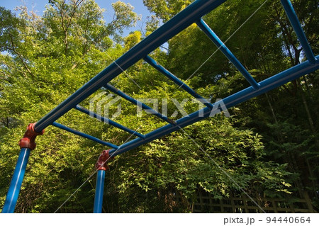 緑の中の雲梯 94440664