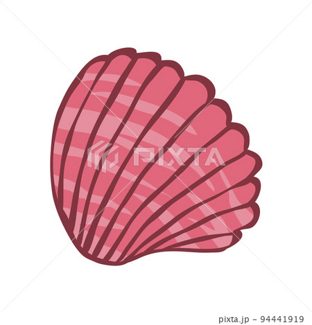 Snail sea shell isolated on white background 94441919